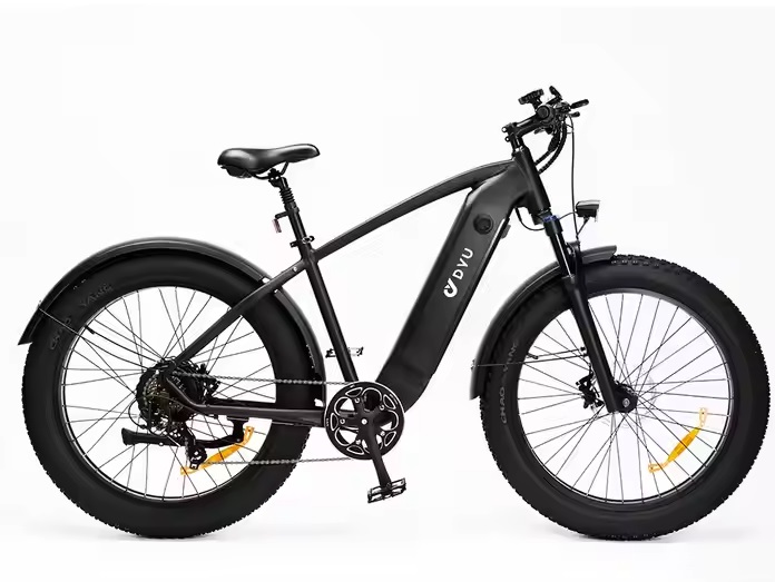 DYV KING750MTB _00 1 DYV KING750MTB _00 1