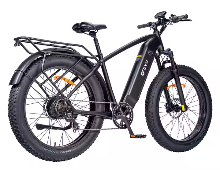 DYV KING750MTB _00 2 DYV KING750MTB _00 2