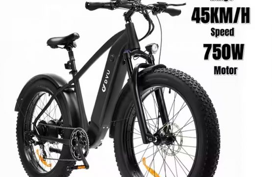 DYV KING750MTB _00
