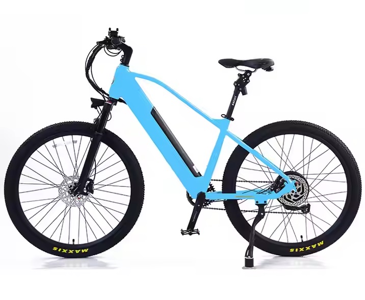 Electric bike AVERIL-MTB _2 Electric bike AVERIL-MTB _2