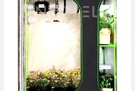 0 Greenhouse _0 SINOWELL c